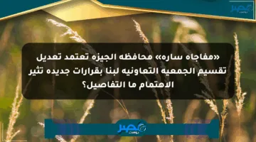 «مفاجأة سارة» محافظة الجيزة تعتمد تعديل تقسيم الجمعية التعاونية لبنا بقرارات جديدة تثير الاهتمام ما التفاصيل؟